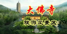 日逼大黄片中国浙江-新昌大佛寺旅游风景区